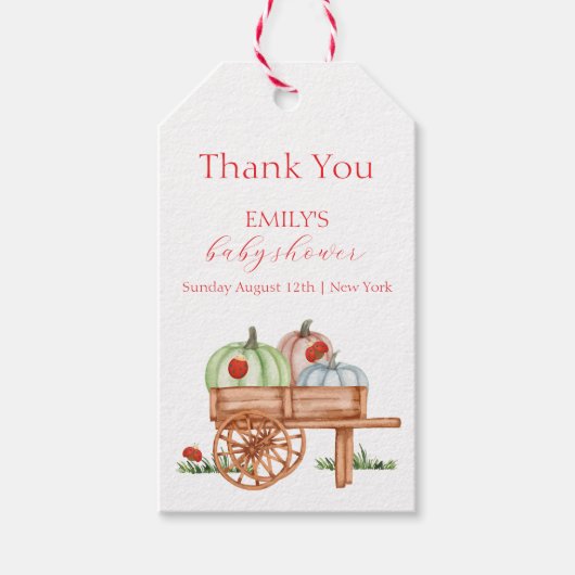 Spring Rustic Modern Pumpkin Labybug Baby shower Cadeaulabel (Voorkant)