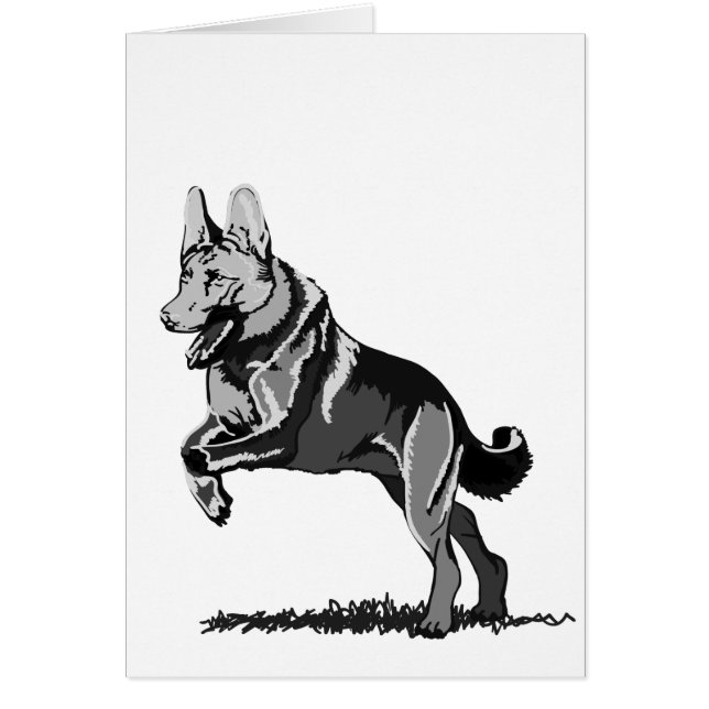 Spring Schäferhund (Voorkant)