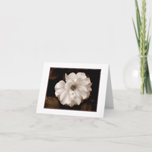 'Spring Sepia Rose' Blanco Notitiekaart (Voorkant)