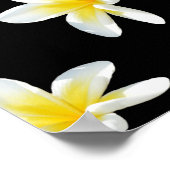 Spring Serenade: Gele Frangipanis op zwart, Poster (Hoek)