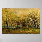 Spring Serenity: Zon verlichte takken Zachte bries Poster (Voorkant)