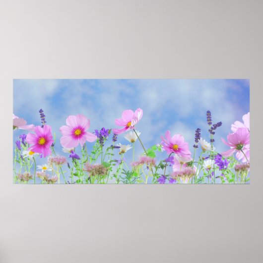 Spring Sky Poster (Voorkant)