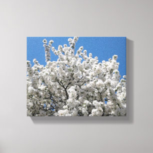 Spring Snow Crabapple Tree in Bloom Canvas Afdruk
