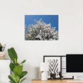 Spring Snow Crabapple Tree in Bloom Poster (Thuiskantoor)