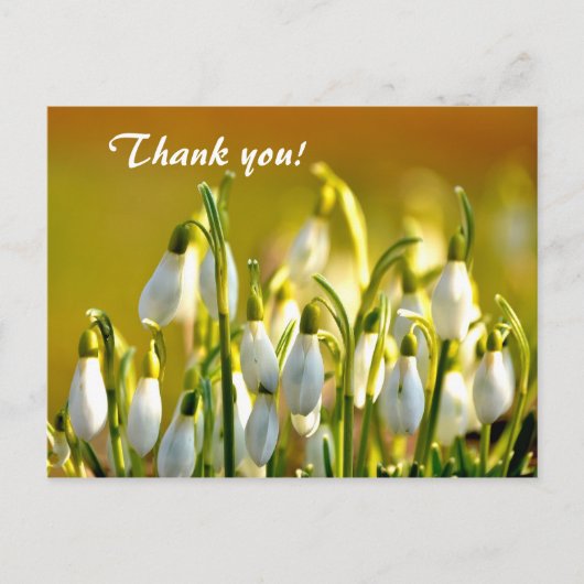 Spring Snowdrops Bloemen Bedankt Briefkaart (Voorkant)