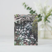 Spring Snowdrops Briefkaart (Staand voorkant)
