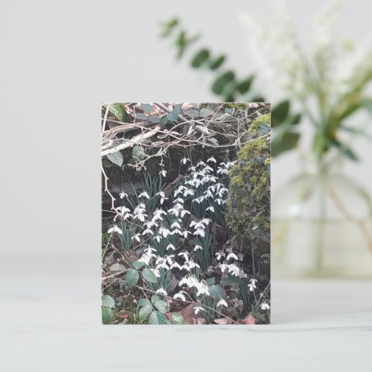Spring Snowdrops Briefkaart (Staand voorkant)