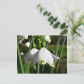 Spring Snowdrops Briefkaart (Staand voorkant)