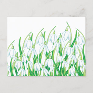 Spring Snowdrops Feestdagenkaart