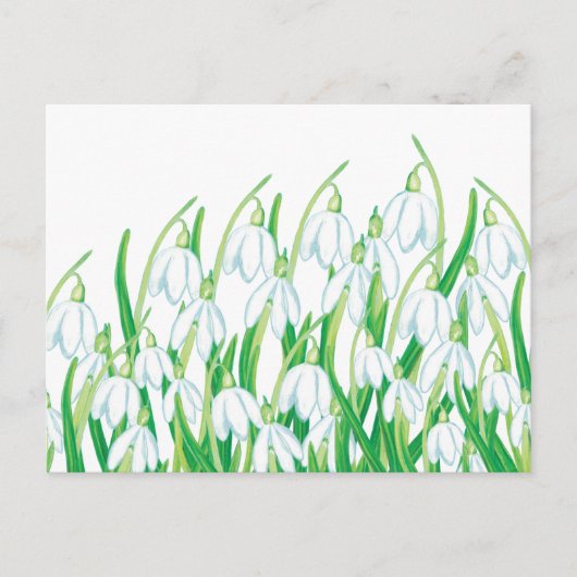 Spring Snowdrops Feestdagenkaart (Voorkant)