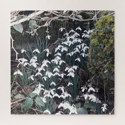 Spring Snowdrops Jigzaag Puzzle Legpuzzel (Verticaal)