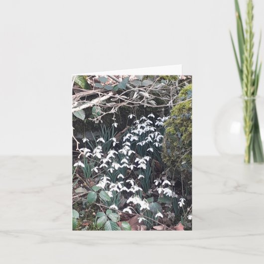 Spring Snowdrops Kaart (Voorkant)