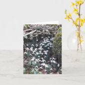Spring Snowdrops Kaart (Gele Bloem)