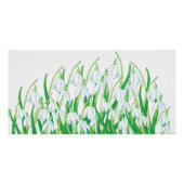 Spring Snowdrops Perfect Poster (Voorkant)