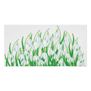 Spring Snowdrops Perfect Poster