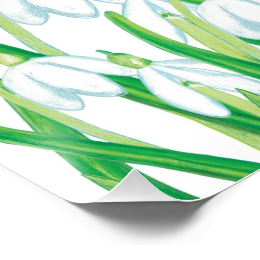 Spring Snowdrops Perfect Poster (Hoek)