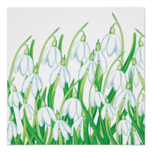 Spring Snowdrops Perfect Poster (Voorkant)