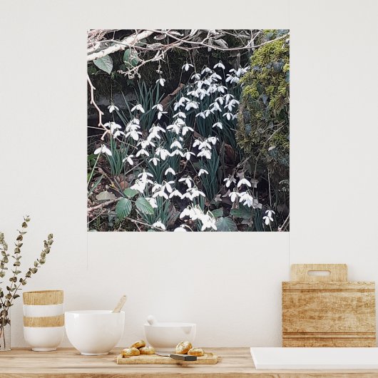 Spring Snowdrops Poster (Keuken)