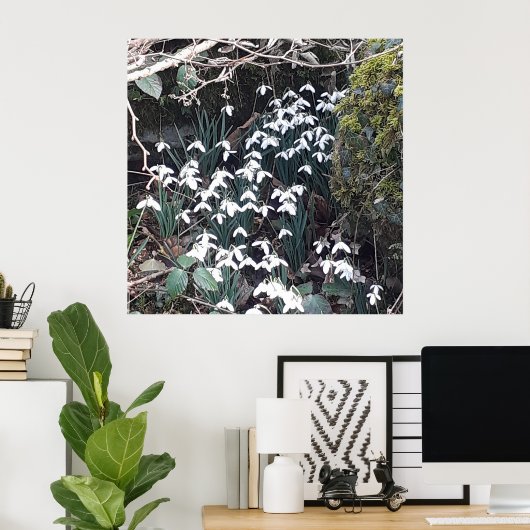 Spring Snowdrops Poster (Thuiskantoor)