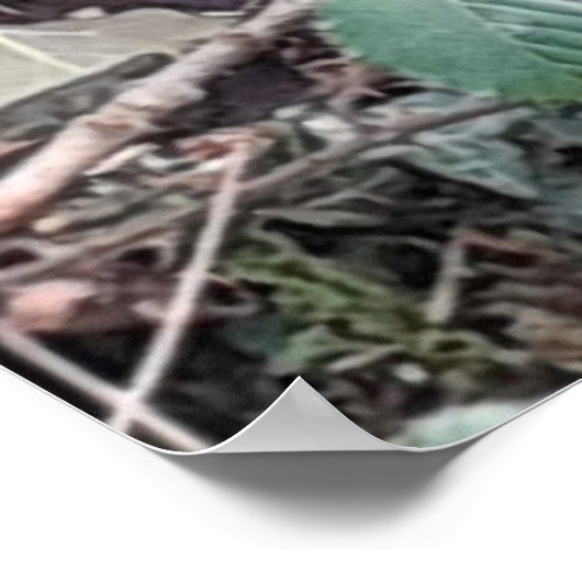 Spring Snowdrops Poster (Hoek)