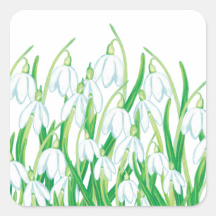 Spring Snowdrops Vierkante Sticker