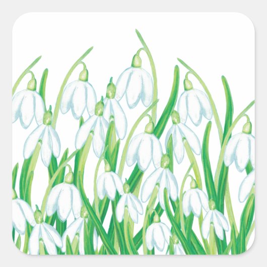 Spring Snowdrops Vierkante Sticker (Voorkant)