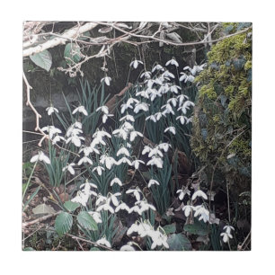 Spring Snowdruppels keramische tegel Tegeltje