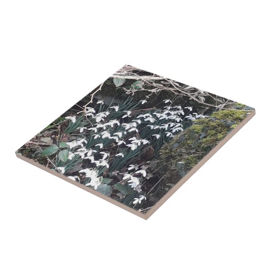 Spring Snowdruppels keramische tegel Tegeltje (Zijkant)