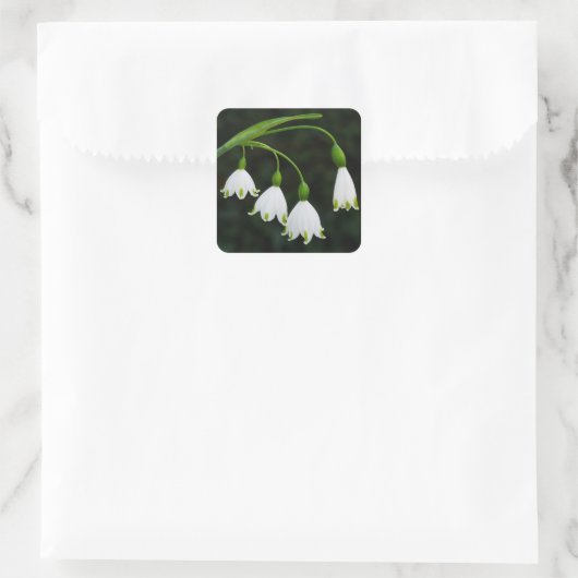 Spring Snowflake Flowers Sticker (Tas)