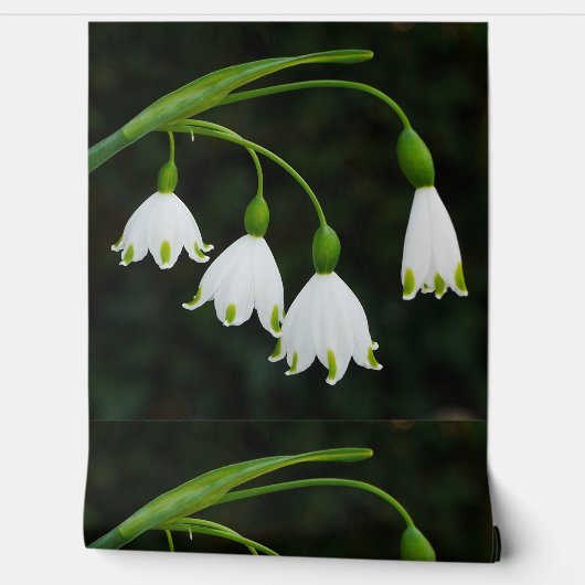 Spring Snowflake Flowers Wallpaper Behang (Afrollen)