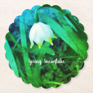 Spring Snowflake Leucojum vernum Flower Kartonnen Onderzetters