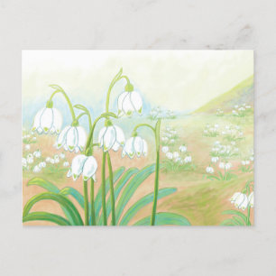 Spring Snowflake, Leucojum vernum Illustration Briefkaart