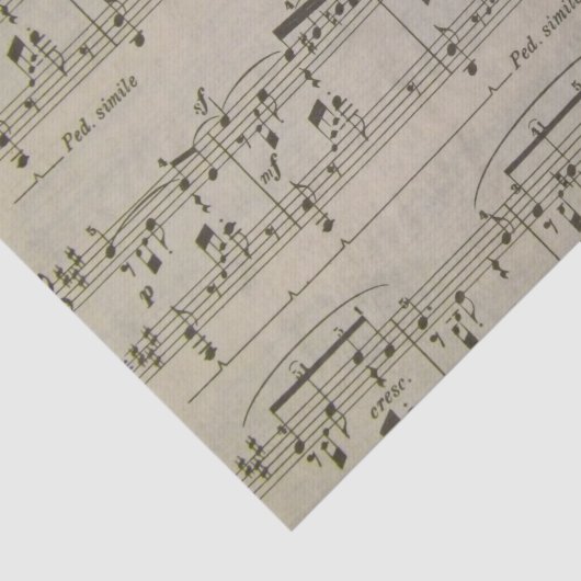 Spring Song Tissuepapier (Detail)