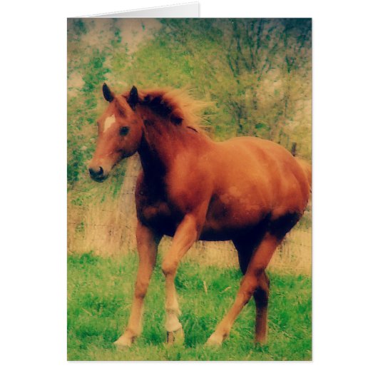 Spring Sorrel All Occasions Wenskaart (Voorkant)