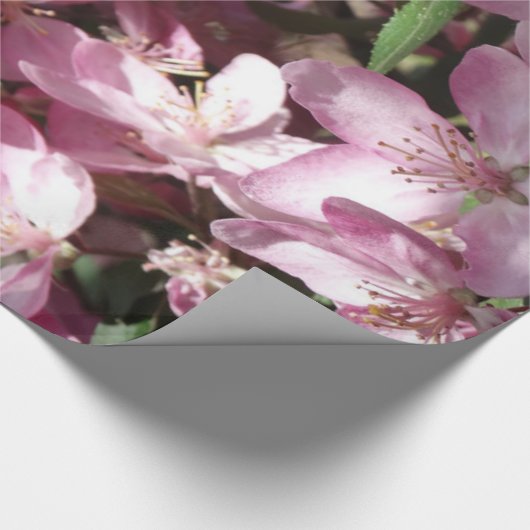 Spring Sprung Cadeaupapier (Hoek)