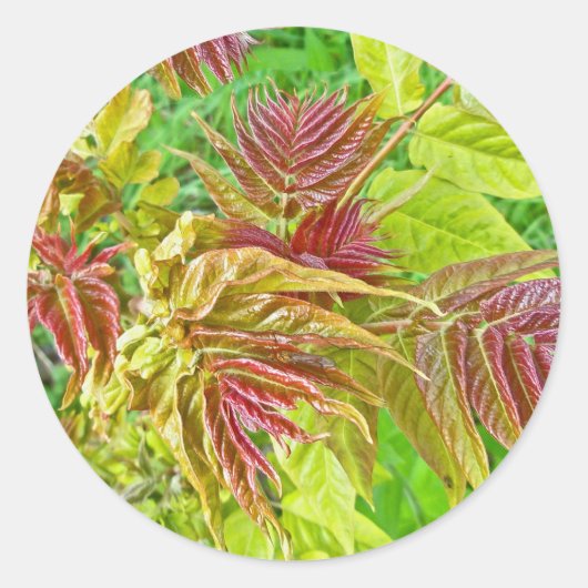 Spring Sumac Leaves Sticker (Voorkant)