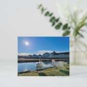 Spring Sun Briefkaart (Staand voorkant)