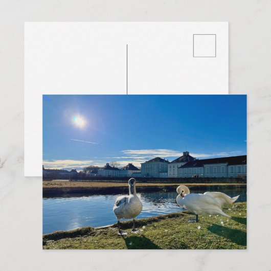 Spring Sun Briefkaart (Voorkant / Achterkant)