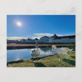 Spring Sun Briefkaart (Voorkant)