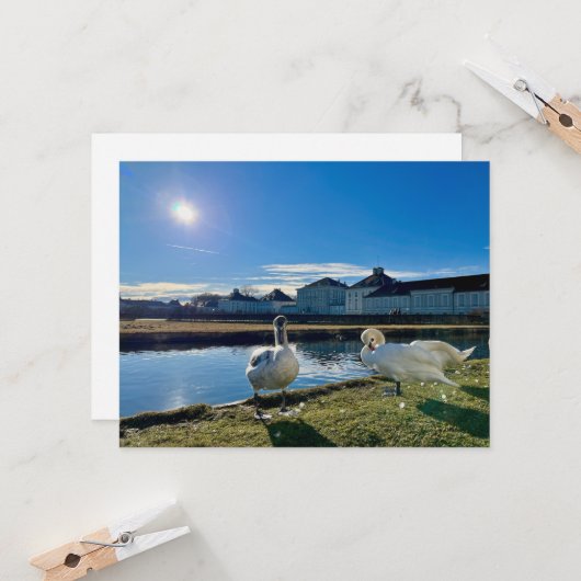 Spring Sun Kaart (Voorkant / Achterkant in situ)