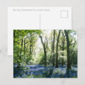 Spring Sunbeams Briefkaart (Voorkant / Achterkant)