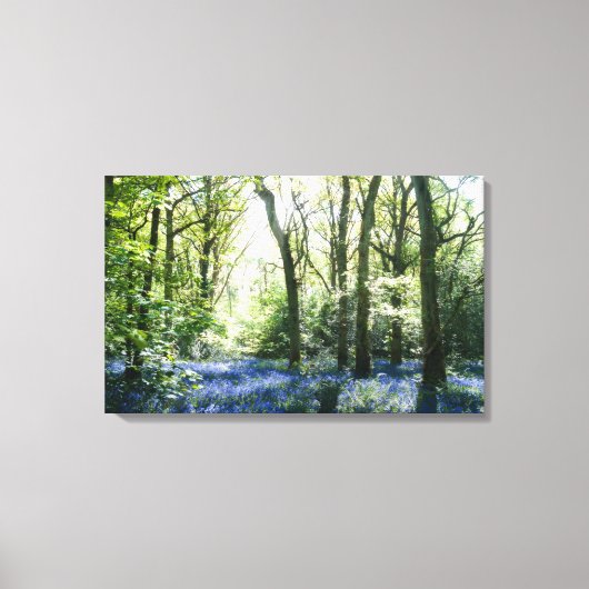 Spring Sunbeams Canvas Afdrukken (Voorkant)