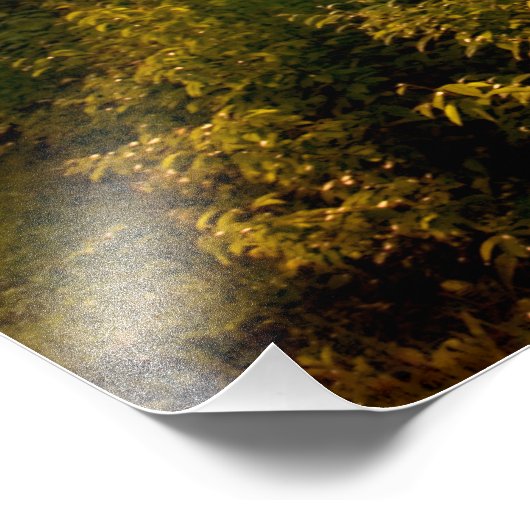 Spring Sunset Mount Mitchell in North Carolina. Foto Afdruk (Hoek)