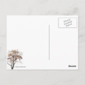 Spring Thaw, Steamboot Dock Briefkaart (Achterkant)