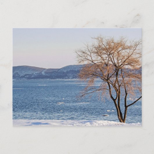 Spring Thaw, Steamboot Dock Briefkaart (Voorkant)