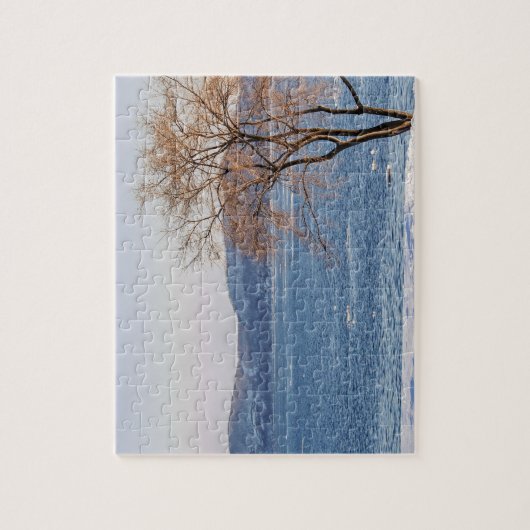 Spring Thaw, Steamboot Dock Legpuzzel (Verticaal)