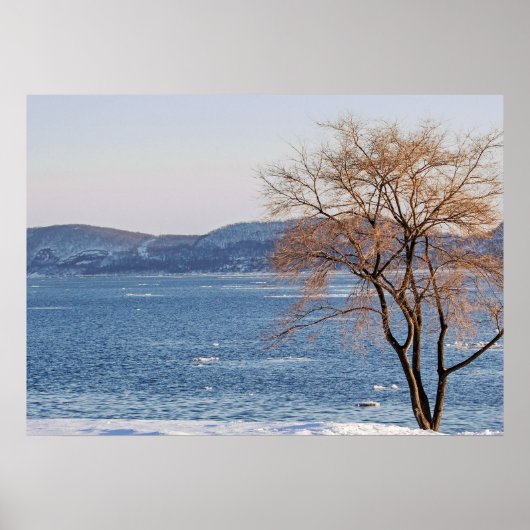 Spring Thaw, Steamboot Dock Poster (Voorkant)