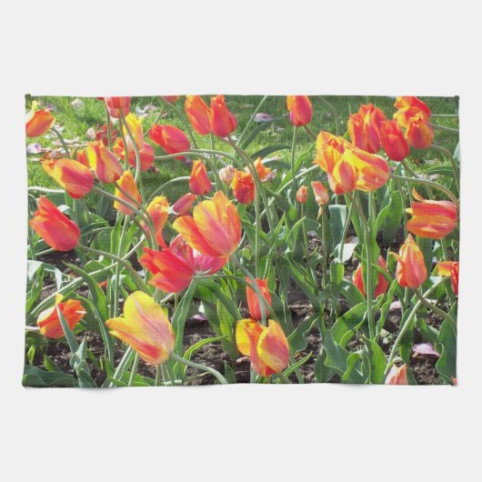 Spring Time Tulip Towel Theedoek (Horizontaal)