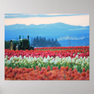 Spring Tractor Poster