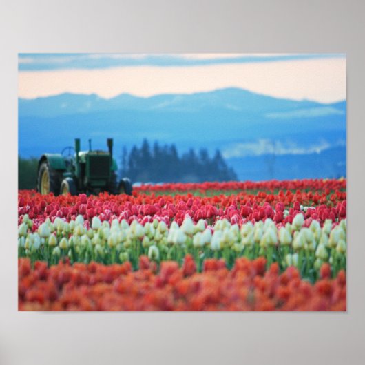 Spring Tractor Poster (Voorkant)